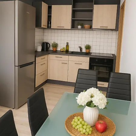 Ideal Fuer Monteure 3 Mit Kueche, Waschmaschine, Bad, Wifi, Flat Tv Usw Halle (Saale)