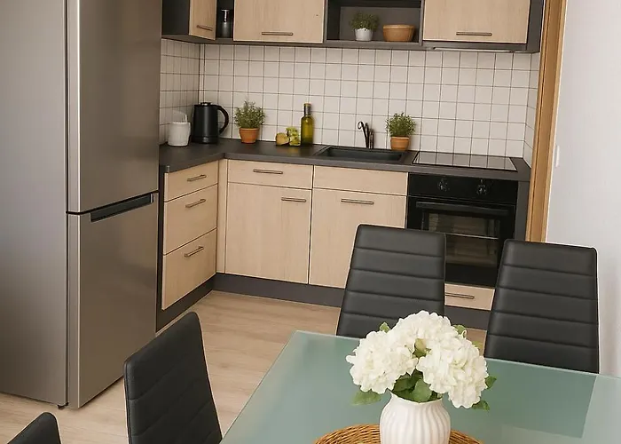 Ideal Fuer Monteure 3 Mit Kueche, Waschmaschine, Bad, Wifi, Flat Tv Usw Halle (Saale)